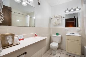 a bathroom with a toilet and a sink and a mirror at Econo Lodge Inn & Suites Windsor Locks Bradley Airport in Windsor Locks +16 photos
