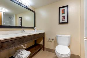 a bathroom with a toilet and a sink and a mirror at Comfort Inn Binghamton I-81 in Binghamton +25 photos