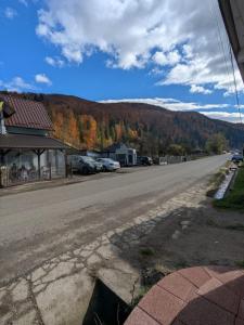 eine leere Straße mit am Straßenrand geparkten Autos in der Unterkunft CasaGabri in Tarcău-Gheuca