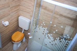 uma casa de banho com um WC e uma cabina de duche em vidro. em Dumbrava Minunata em Brasov