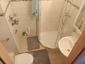 a small bathroom with a toilet and a shower at Westblick in Plön