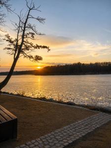 a sunset over a body of water with a bench at Ferienwohnung Niki am Straussee Seeblick und Kamin für bis zu 12 Personen in Strausberg