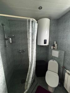 a small bathroom with a toilet and a shower at Mugavustega avar perekorter 3toaline in Võru