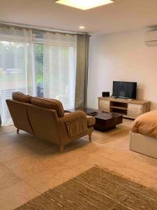 a living room with a couch and a television at Maison privée spacieuse avec piscine chauffée pour 8 personnes in Joué-lès-Tours
