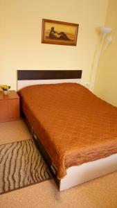 エカテリンブルクにあるКомнаты в апартаментах на Испанских рабочихのベッドルーム1室(オレンジ色の掛け布団付きのベッド1台付)