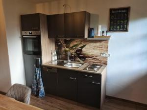 eine Küche mit Spüle und Arbeitsplatte in der Unterkunft Grey House in Laufen