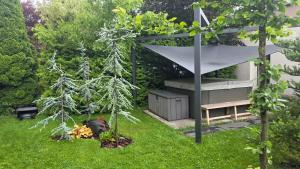 a garden with a tree and a bench in the grass at Dom na Pięknej Ustroń in Ustroń