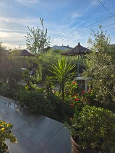 a garden with plants and flowers on a patio at Rey Garden 2 in Vlorë