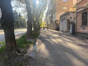 an empty street with trees on the side of the road at На Еврейской in Odesa