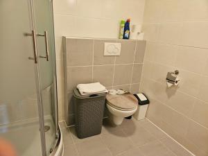 a small bathroom with a toilet and a shower at Ferienwohnungen Simon - Hauserhof in Oberperfuss +31 photos