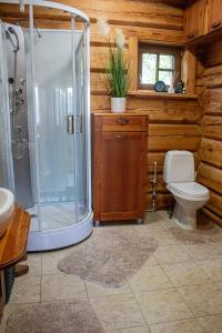 ein Badezimmer mit Dusche und Toilette in der Unterkunft Zemene in Bauska + 21 Fotos