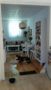 a dog laying on the floor of a living room at Hank O'brat in Lovech