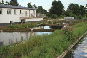 una casa y un río con hierba y flores en Ruhige Ferienwohnungen mit Teichblick, en Wetterfeld