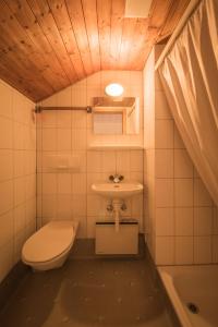 a small bathroom with a toilet and a sink at Gasthof Schoenegg B&B in Goldswil