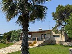 a palm tree in front of a house at A casa di Raf in Torre Lapillo