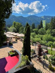 a patio with a red rug and a tree at Hotel Piatra Mare in Poiana Brasov