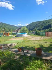a view of a yard with some plants in the grass at Cabanutele La Denisa in Dubova