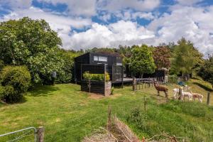 a black house in a field with animals in it at Fig Cottage in New Plymouth