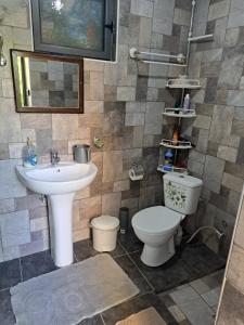 a bathroom with a toilet and a sink at Traditional GuestHouse Permet in Përmet +58 photos