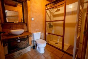 a bathroom with a toilet and a sink at Sons do Eo- Apartamentos rurales sostenibles en Baleira Lugo in Baleira +40 photos