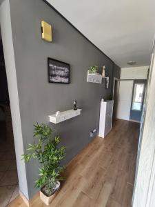 a living room with a refrigerator and some plants at Apartment Miljenko Tomić in Splitska +10 photos