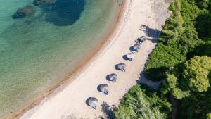 an overhead view of a beach with a group of elephants at Elegant Maisonettes Elena in Nea Potidaea