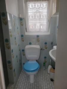 a bathroom with a toilet with a blue seat at La maison des Cigognes in Hésingue