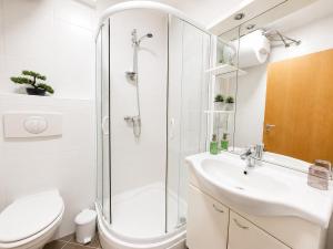 a bathroom with a shower and a sink and a toilet at Honey Apartment in Moravske-Toplice