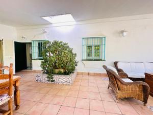 a living room with a couch and chairs and a plant at Casa Bluende in Novo Sancti Petri