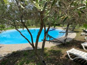 a tree with a hammock next to a swimming pool at Magic Camp&Bungalow in Fethiye