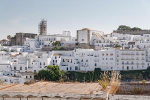a group of white buildings on a hill at Casapoley Vejer in Vejer de la Frontera