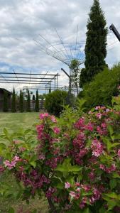 a bush of flowers with a ferris wheel in the background at Хутір Hall in Radisne