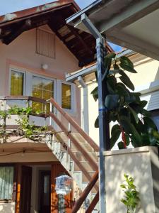 a house with a wooden staircase in front of it at Apartmani Bubamara in Soko Banja