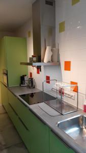 a kitchen with green cabinets and a sink at BIESBOSCHBEST in Werkendam +21 photos