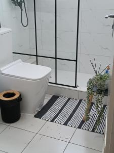 a bathroom with a shower and a toilet and a rug at AP Museu Maputo in Maputo +31 photos