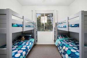 two bunk beds in a room with a window at Coastal Tree Top Views in Aireys Inlet