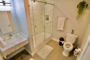 a bathroom with a shower and a toilet and a sink at The Lovely Suite - 1BR close to NYC in Paterson