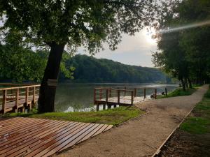 a wooden walkway next to a lake with a tree at Tóparti Idill Vendégház in Kisszékely
