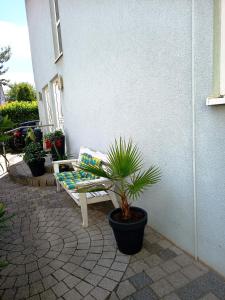 a bench sitting on a patio with a plant at Ferienwohnung mit Terrasse in Insheim