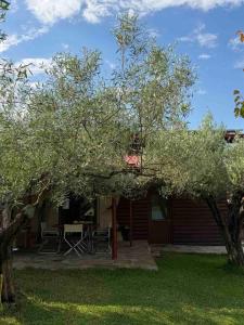 a house with a table and chairs in a yard at Olympus Eco Gaia in Plaka Litochorou