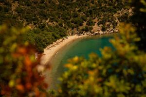 an aerial view of a beach with trees and water at Lenaki House in Ayía Kiriakí +42 photos