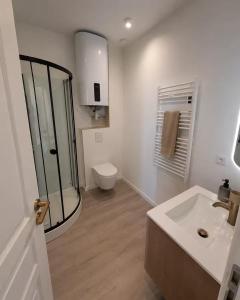 a bathroom with a shower and a sink and a toilet at Voyageur - Vidéoprojecteur - Terrasse - 5min gare in Ploumagoar +14 photos