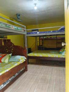 two bunk beds in a room with yellow walls at Vilma Transient House in Bolinao