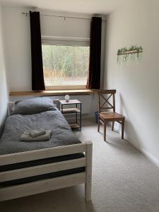 ein Schlafzimmer mit einem Bett, einem Fenster und einem Stuhl in der Unterkunft Petit in Hatten