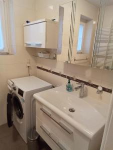 a bathroom with a washing machine and a sink at Auszeit im Chursbachtal in Callenberg