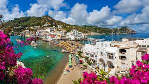 a view of a beach in a town with pink flowers at MARE NOSTRUM - Beachfront House with Sea View - 2 Bedrooms - Sant'Angelo Ischia in Sant'Angelo D'Ischia