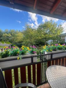 a balcony with a bunch of flowers in a garden at Ferienwohnung Hunsrückblick in Thalfang