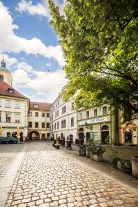 a cobblestone street in a town with buildings at Hotel Metamorphis in Prague