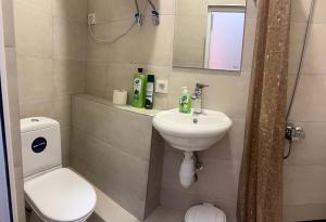 a bathroom with a toilet and a sink at Guest House Lilia in Yerevan +44 photos