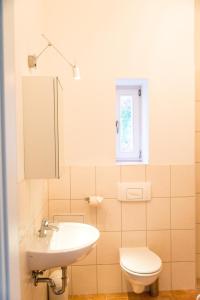 La salle de bains est pourvue d'un lavabo et de toilettes. dans l'établissement Villa Elise, à Bad Schandau